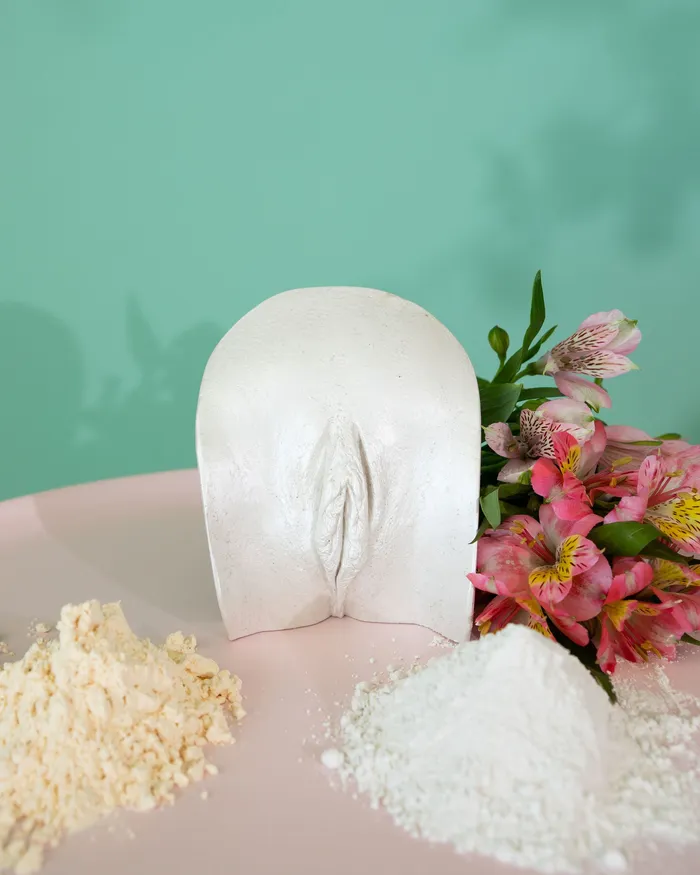Diy Vulva Casting Kit Yoni Pleasure Palace Couples