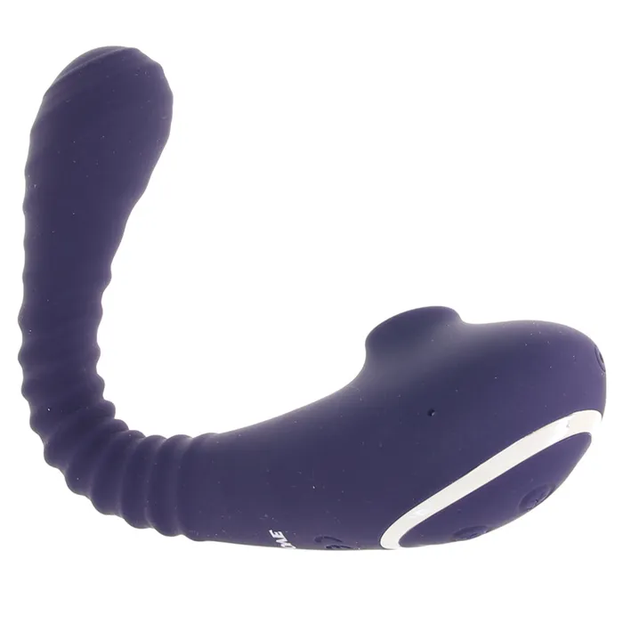 Nalpac Female Sex Toys Evolved Bendable Sucker Rechargeable Poseable Silicone DualEnded Suction Vibrator Blue